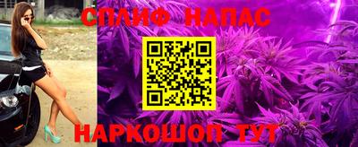 ешки Новозыбков