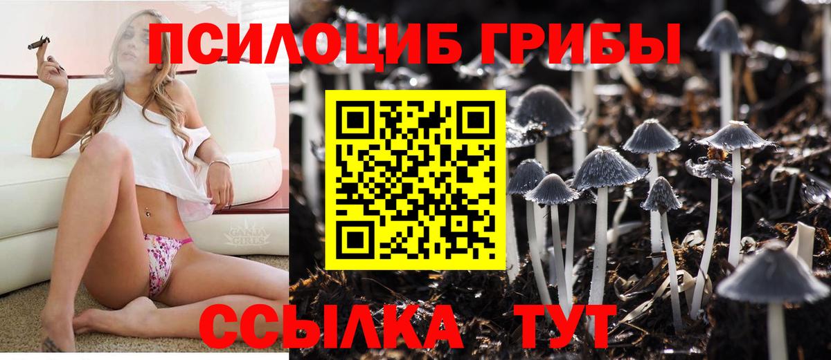 Псилоцибиновые грибы ЛСД Славянск-на-Кубани