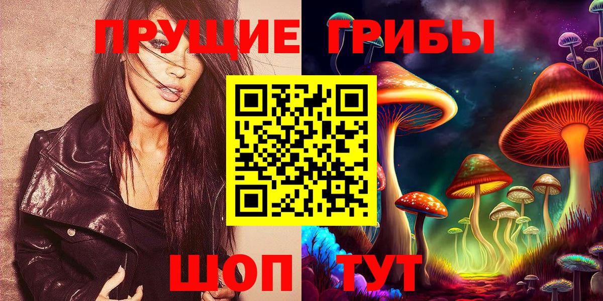 Славянск-на-Кубани  Псилоцибиновые грибы GOLDEN TEACHER  Вход с VPN 